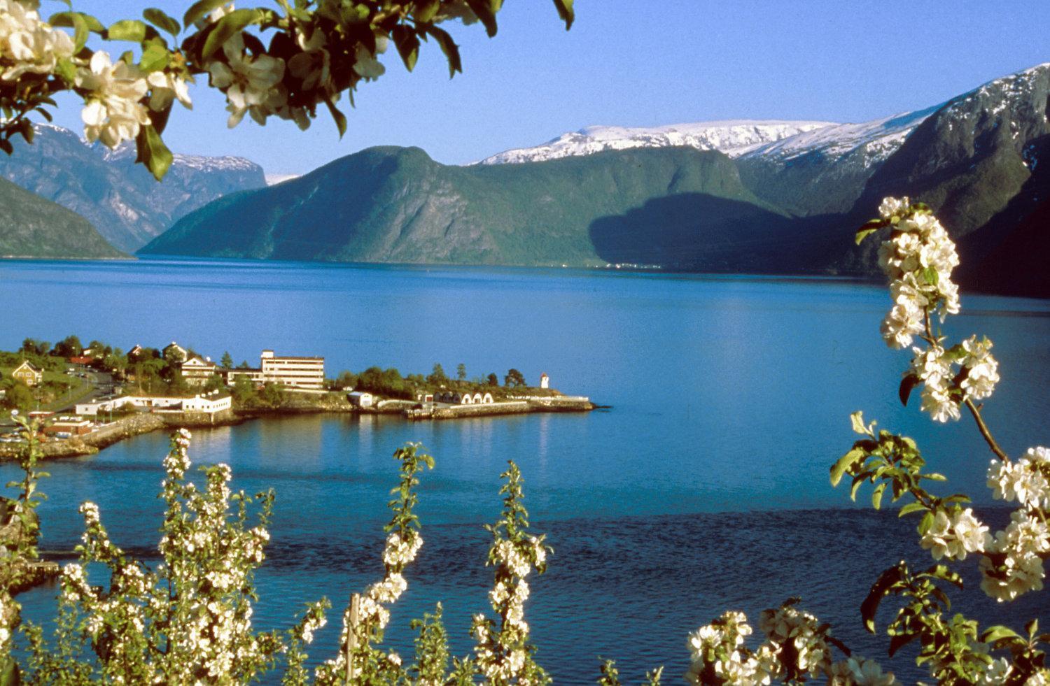 Sognefjord Hotel Hermansverk Luaran gambar